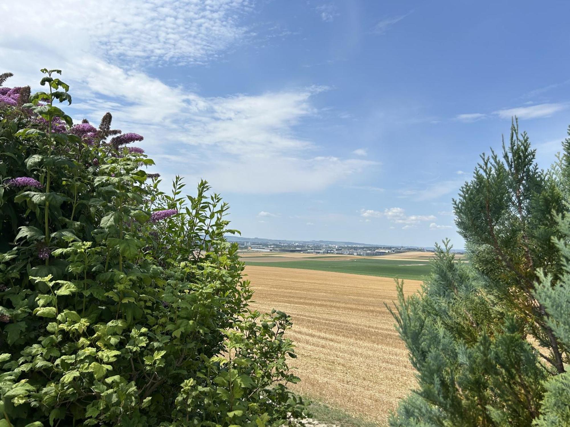 L'Intemporel Cernay-les-Reims Екстер'єр фото