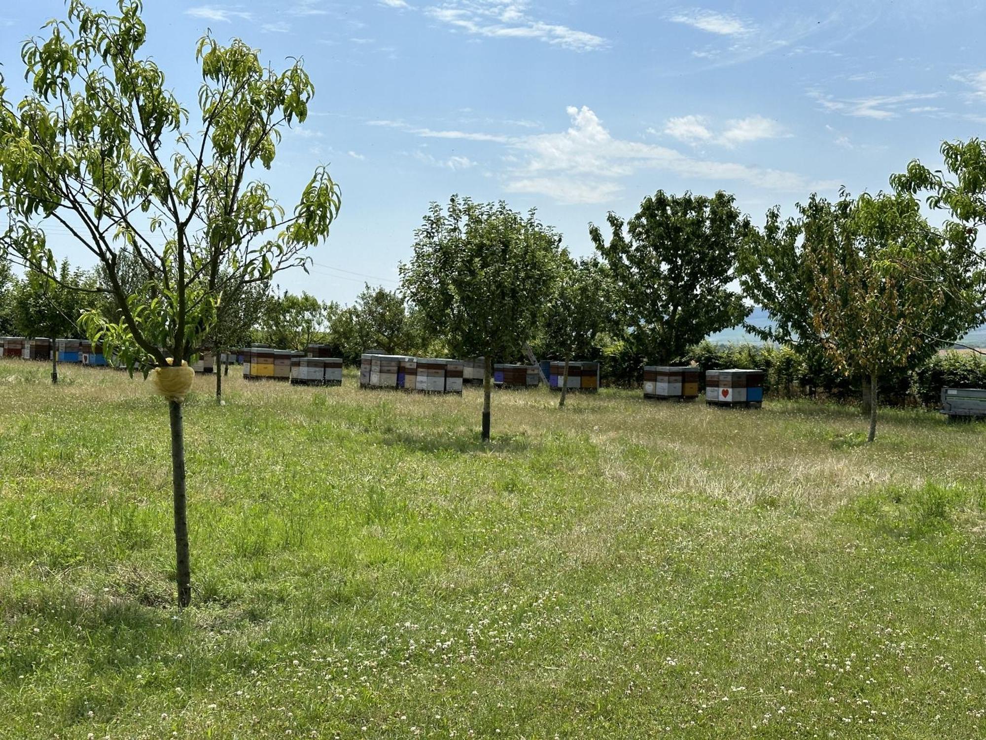 L'Intemporel Cernay-les-Reims Екстер'єр фото